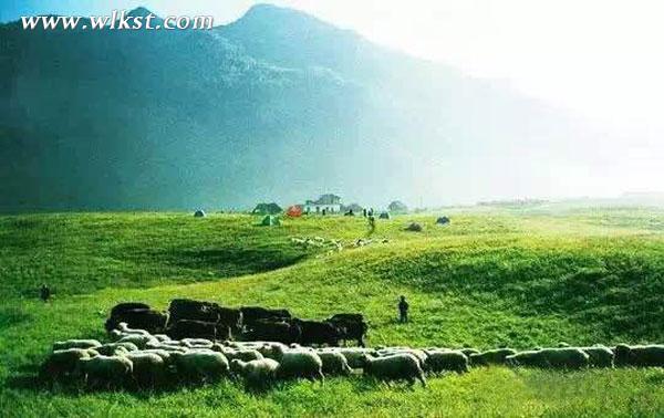 旅行狂人老貓說(shuō)自駕之十五：仙女山