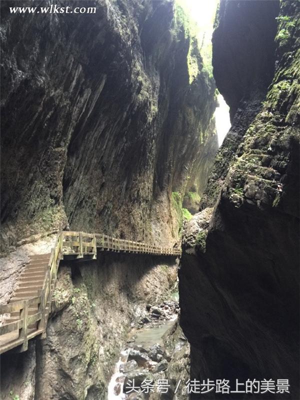 原來杜海濤媽媽跑到武隆旅游來啦