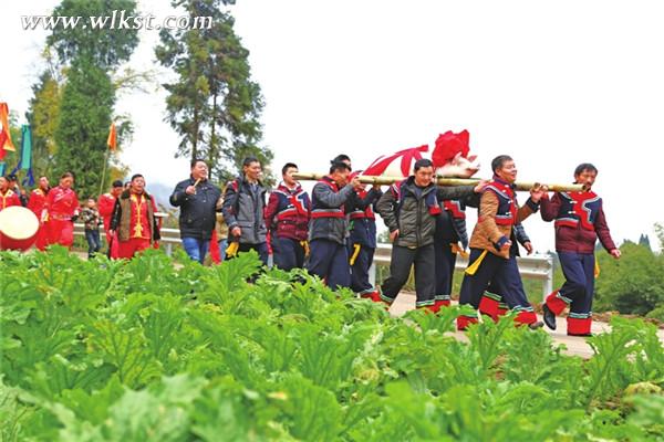  年豬戴花趣味足。