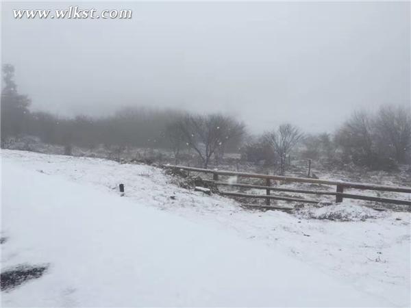 武隆仙女山強(qiáng)降春雪 元宵佳節(jié)戲雪滑雪好去處