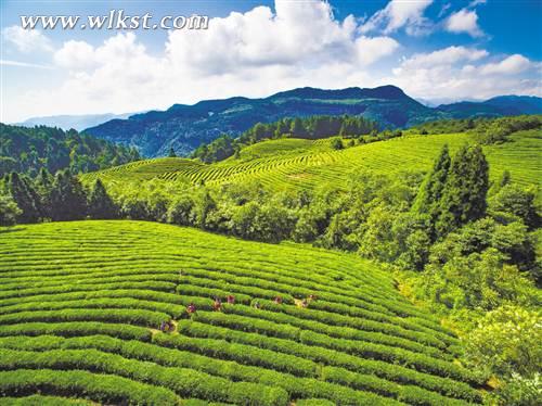 武隆&ldquo;仙女&rdquo;曼妙舞翩翩 &ldquo;白馬&rdquo;奮蹄再揚(yáng)鞭