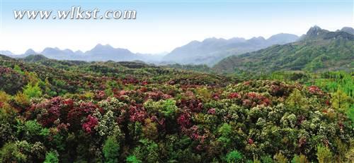 武隆&ldquo;仙女&rdquo;曼妙舞翩翩 &ldquo;白馬&rdquo;奮蹄再揚(yáng)鞭