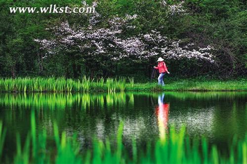 武隆&ldquo;仙女&rdquo;曼妙舞翩翩 &ldquo;白馬&rdquo;奮蹄再揚(yáng)鞭