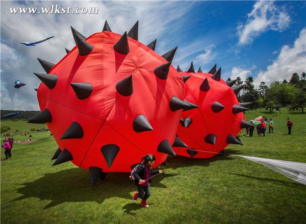 往年風(fēng)箏節(jié)創(chuàng)意風(fēng)箏