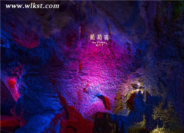 新增景點(diǎn)&mdash;葡萄園