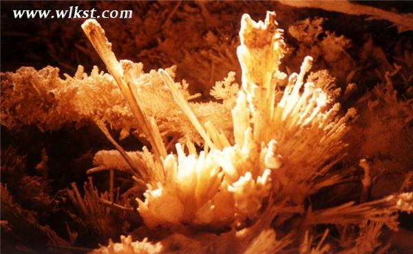 神秘之旅 探尋芙蓉洞120多萬年的未解之謎