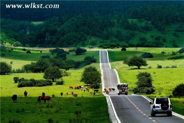 端午粽動(dòng)員，樂(lè)游仙女山