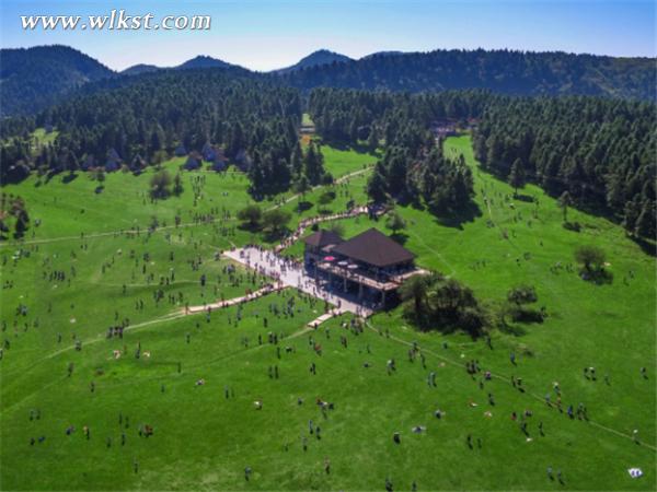  鳥(niǎo)瞰仙女山大草原(王俊杰/供圖)