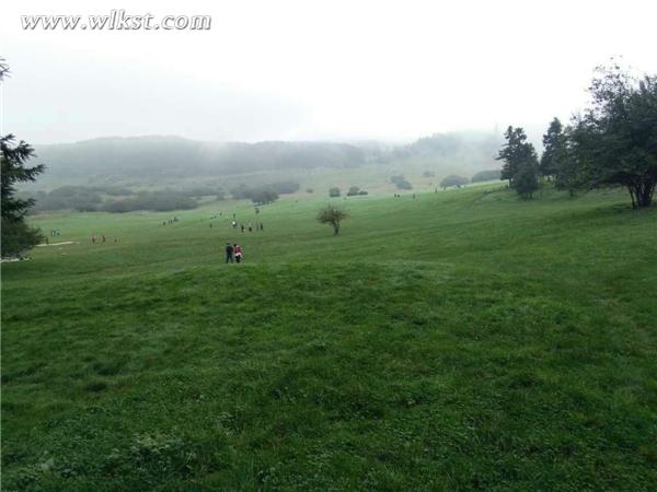 雨后的仙女山大草原(李瓊/供圖)