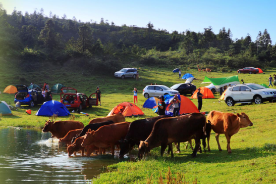 休閑納涼避暑天堂