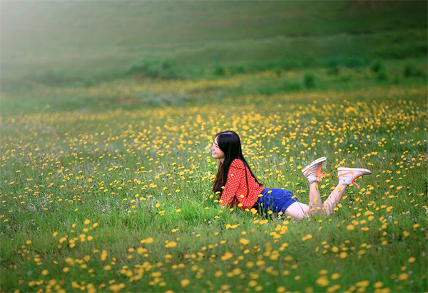 野花燦爛的仙女山草原
