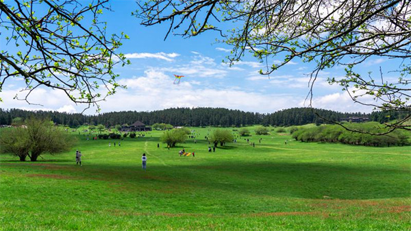 肖戰(zhàn)、白百合曾在仙女山大草原拍攝電視劇
