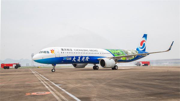 &ldquo;大美武隆&rdquo;號彩繪飛機